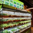 泗悸野菜馆(华阳店) - 成都市旅游 缩略图 9