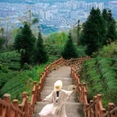 蒙顶山风景名胜区 - 雅安市旅游 缩略图 3