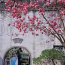 无锡市梁溪区小娄巷佚园 - 无锡市旅游 缩略图 1