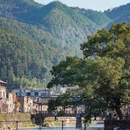 瑶里古镇风景区 - 景德镇市旅游 缩略图 1