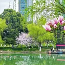 合肥市花冲公园 - 合肥市旅游 缩略图 2