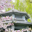 合肥市花冲公园 - 合肥市旅游 缩略图 4