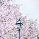 合肥市花冲公园 - 合肥市旅游 缩略图 7