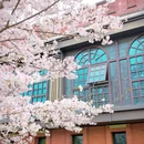合肥市花冲公园 - 合肥市旅游 缩略图 8
