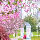 合肥市花冲公园 - 合肥市旅游 缩略图 9