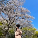 中国茶叶博物馆(双峰馆区) - 杭州市旅游 缩略图 4