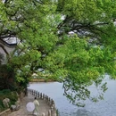 瑶琳仙境景区 - 杭州市旅游 缩略图 2