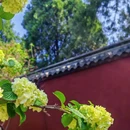 泰安泰山岱庙溪美雅居酒店(东岳大街) - 泰安市旅游 缩略图 3