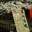 泰安泰山岱庙溪美雅居酒店(东岳大街) - 泰安市旅游 缩略图 1