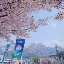泰安溪美隐居酒店(泰山岱庙店) - 泰安市旅游 缩略图 7