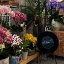 泰安溪美隐居酒店(泰山岱庙店) - 泰安市旅游 缩略图 3