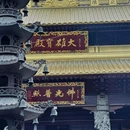 芜湖广济寺 - 芜湖市旅游 缩略图 4