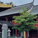 芜湖广济寺 - 芜湖市旅游 缩略图 5