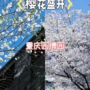 宜必思重庆解放碑步行街酒店 - 重庆市旅游 缩略图 1