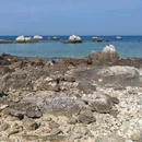 烟台丽景海居酒店(养马岛环岛路店) - 烟台市旅游 缩略图 9