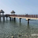 烟台丽景海居酒店(养马岛环岛路店) - 烟台市旅游 缩略图 3