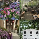 你好酒店(重庆观音桥红旗河沟地铁站店) - 重庆市旅游 缩略图 1