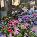 你好酒店(重庆观音桥红旗河沟地铁站店) - 重庆市旅游 缩略图 7