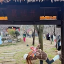葛仙村度假区游客中心 - 上饶市旅游 缩略图 9