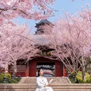 南京牛首山文化旅游区 - 南京市旅游 缩略图 1