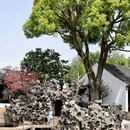 狮子林景区 - 苏州市旅游 缩略图 1