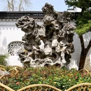 狮子林景区 - 苏州市旅游 缩略图 7