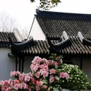 拙政园 - 苏州市旅游 缩略图 6
