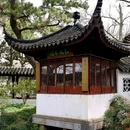 拙政园 - 苏州市旅游 缩略图 7