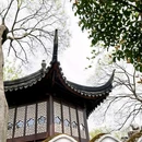 拙政园 - 苏州市旅游 缩略图 9