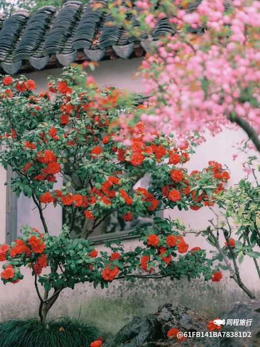 华尔润智能酒店(常州新北区奔牛机场店) - 常州旅游