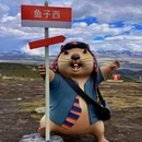 鱼子西景区 - 甘孜藏族自治州旅游 缩略图 3