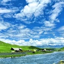 鱼子西景区 - 甘孜藏族自治州旅游 缩略图 2