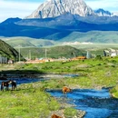 鱼子西景区 - 甘孜藏族自治州旅游 缩略图 5