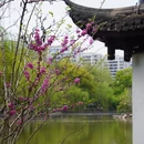 义乌锦都酒店 - 金华市旅游 缩略图 1