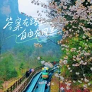 MiLO Hearth米罗设计民宿(张家界天门山索道店) - 张家界市旅游 缩略图 7