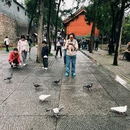 洛阳白马寺 - 洛阳市旅游 缩略图 7