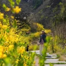 郑州水墨香山旅游区 - 郑州市旅游 缩略图 2