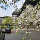 廊坊新绎七修酒店 - 廊坊旅游 缩略图 5