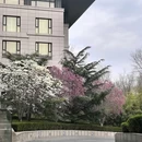 廊坊新绎七修酒店 - 廊坊旅游 缩略图 4