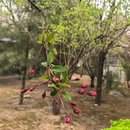 廊坊新绎七修酒店 - 廊坊旅游 缩略图 6