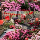 苏州天平山风景名胜区 - 苏州市旅游 缩略图 5