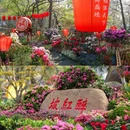 苏州天平山风景名胜区 - 苏州市旅游 缩略图 6