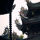 南普陀寺 - 厦门市旅游 缩略图 7