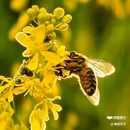 皇塘水乡 - 汉中市旅游 缩略图 1