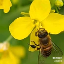 皇塘水乡 - 汉中市旅游 缩略图 9