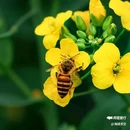 皇塘水乡 - 汉中市旅游 缩略图 7