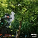 福建省福州市华研皮肤病医院 - 福州市旅游 缩略图 9