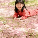咸阳湖景区 - 咸阳市旅游 缩略图 2