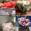 中国地质博物馆 - 北京市旅游 缩略图 5