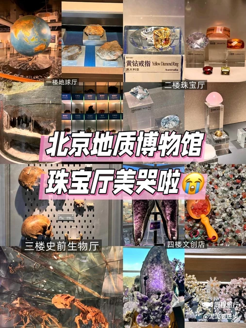 中国地质博物馆 - 北京市旅游